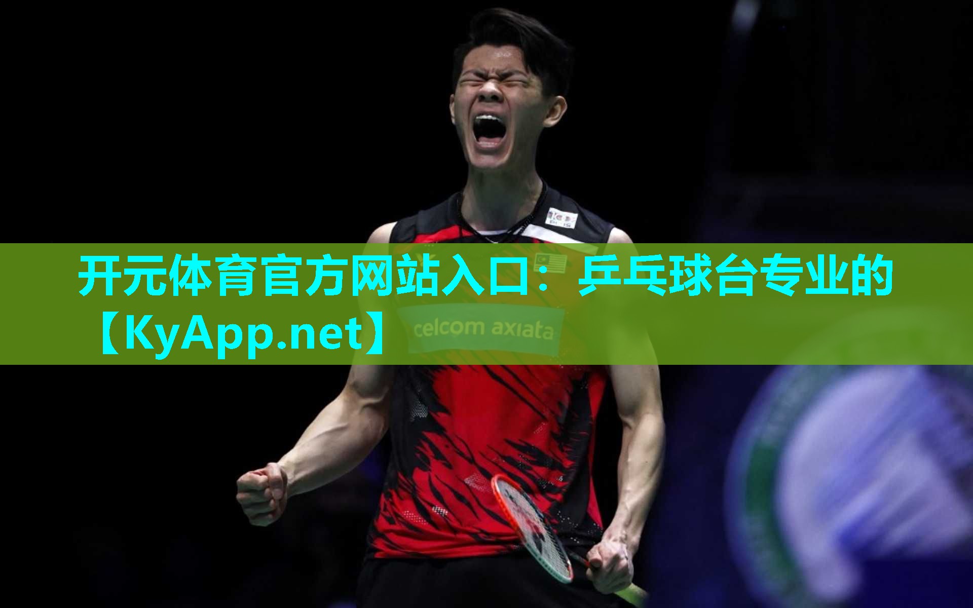 乒乓球台专业的