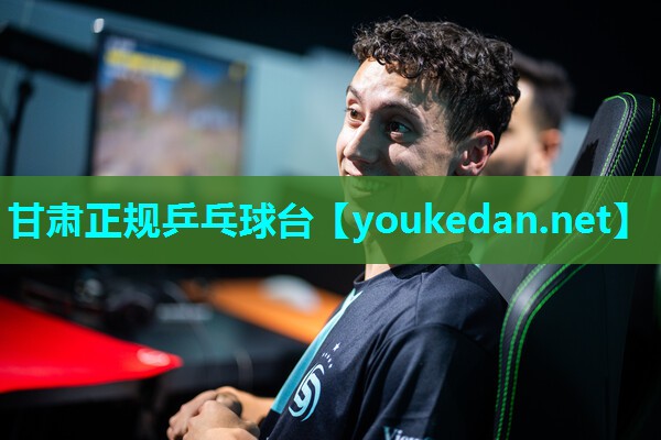 甘肃正规乒乓球台