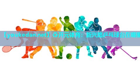 新兴路乒乓球台在哪里