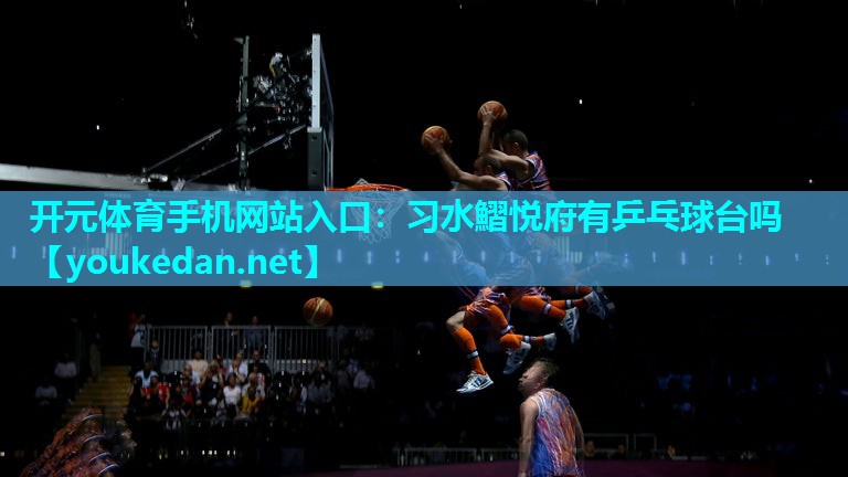 习水鰼悦府有乒乓球台吗
