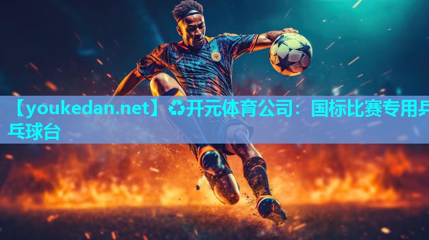 国标比赛专用乒乓球台
