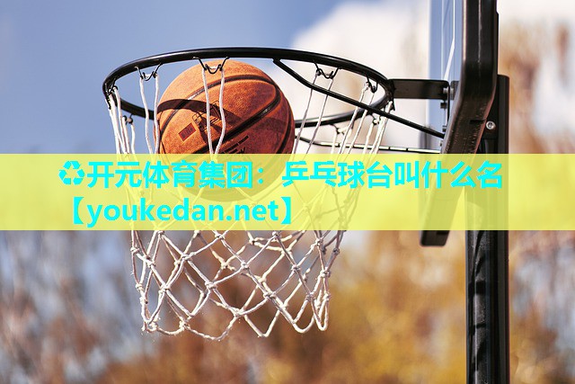 乒乓球台叫什么名