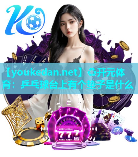 乒乓球台上有个垫子是什么