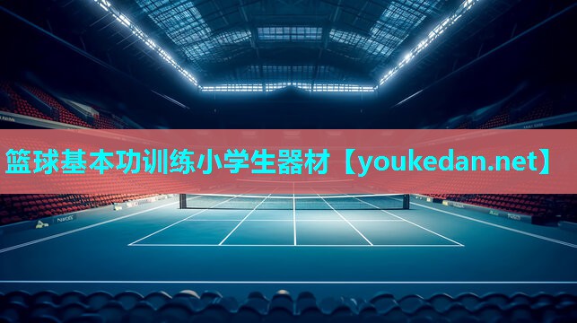 篮球基本功训练小学生器材