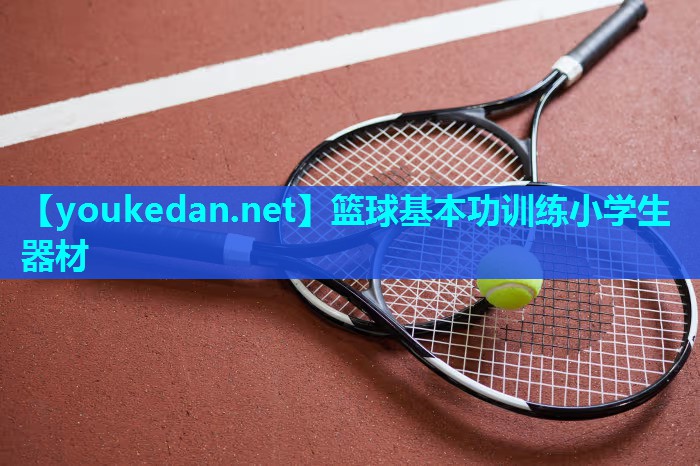 篮球基本功训练小学生器材