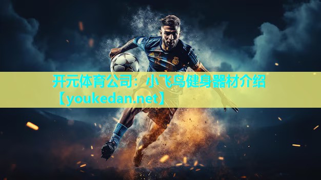 小飞鸟健身器材介绍