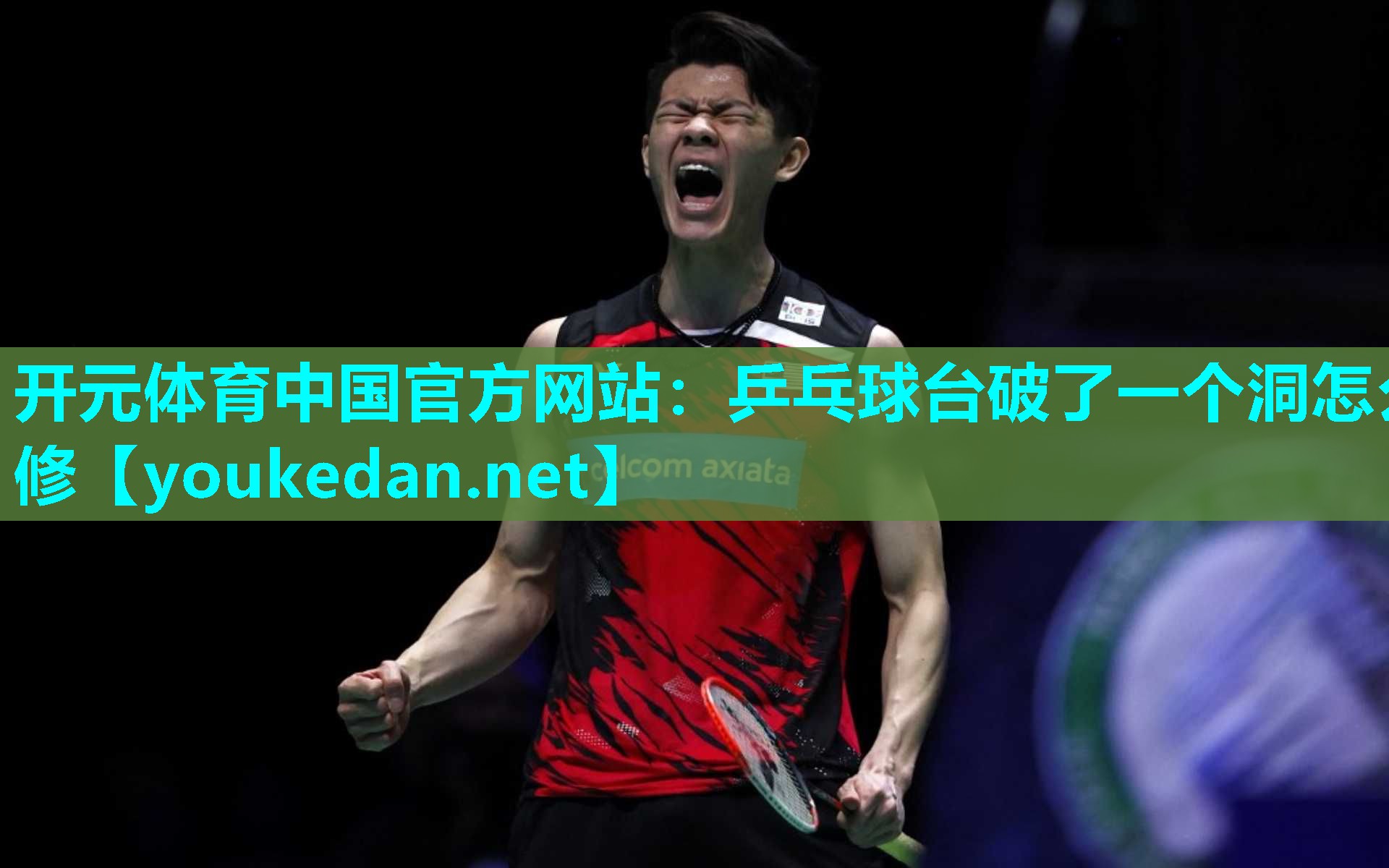 乒乓球台破了一个洞怎么修