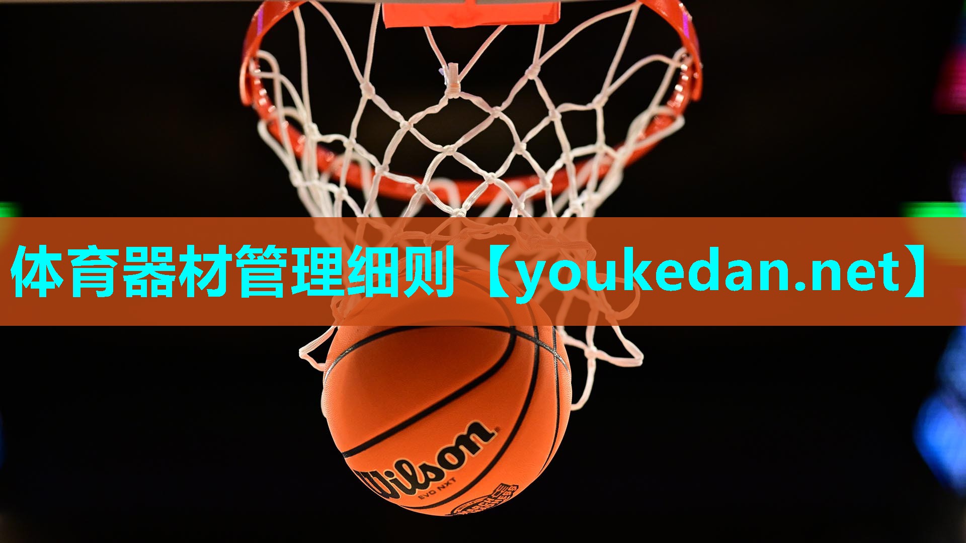 体育器材管理细则