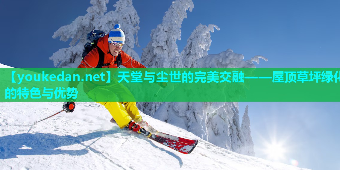 天堂与尘世的完美交融——屋顶草坪绿化的特色与优势