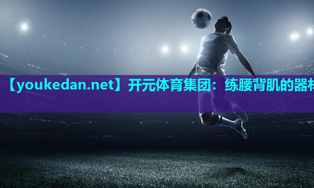 练腰背肌的器材