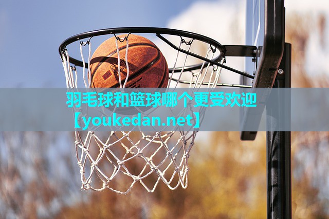 羽毛球和篮球哪个更受欢迎