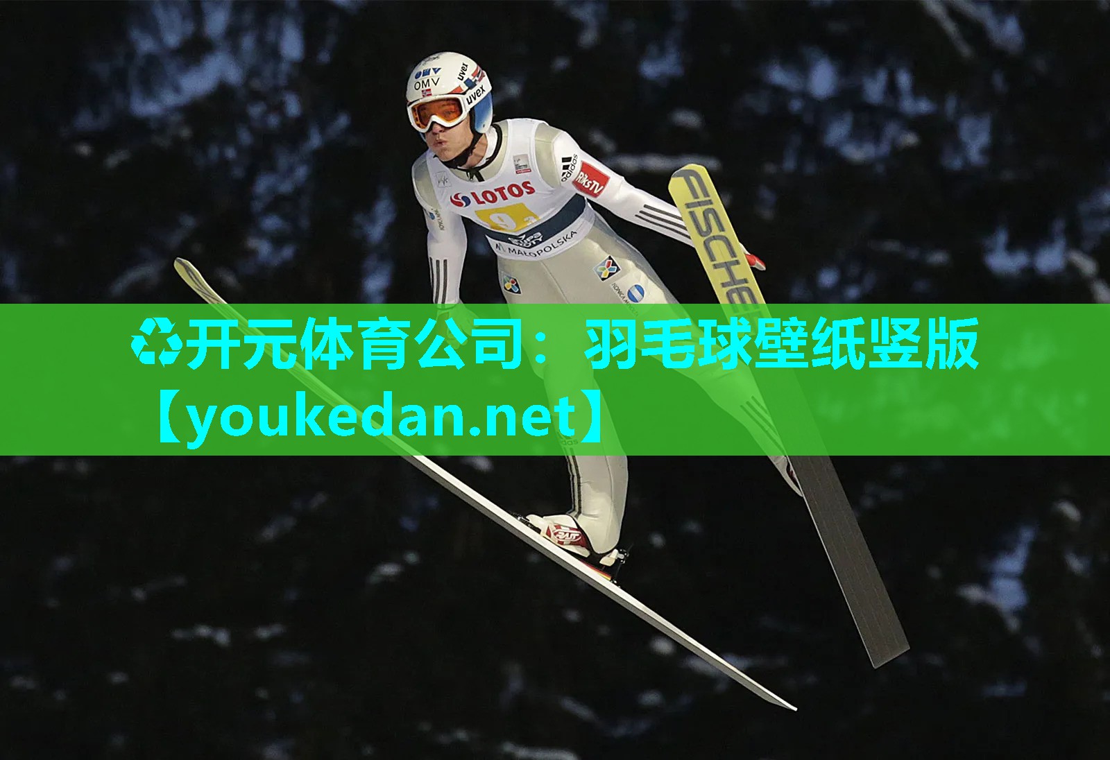 羽毛球壁纸竖版