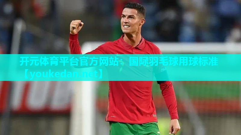 国际羽毛球用球标准