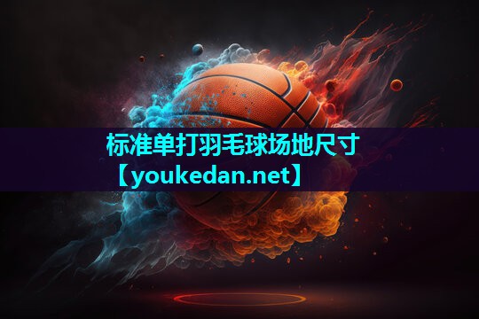 标准单打羽毛球场地尺寸
