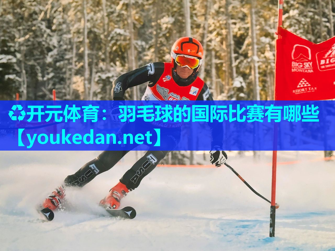 羽毛球的国际比赛有哪些