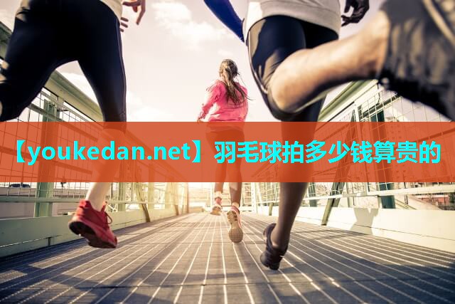 羽毛球拍多少钱算贵的