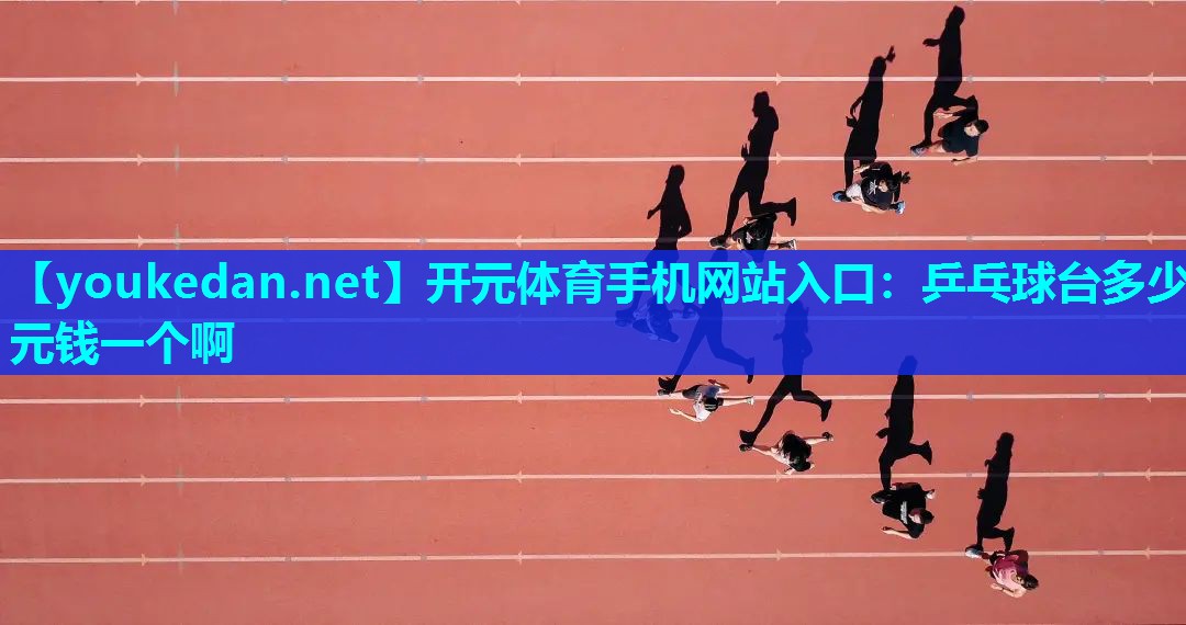 乒乓球台多少元钱一个啊
