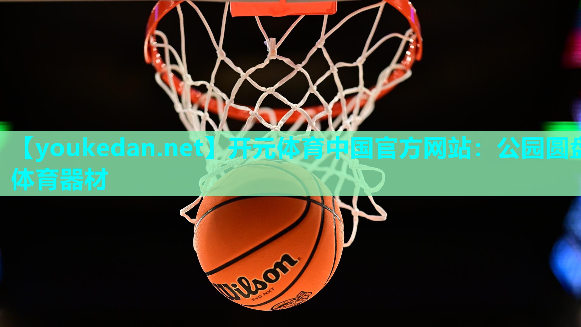 公园圆盘体育器材