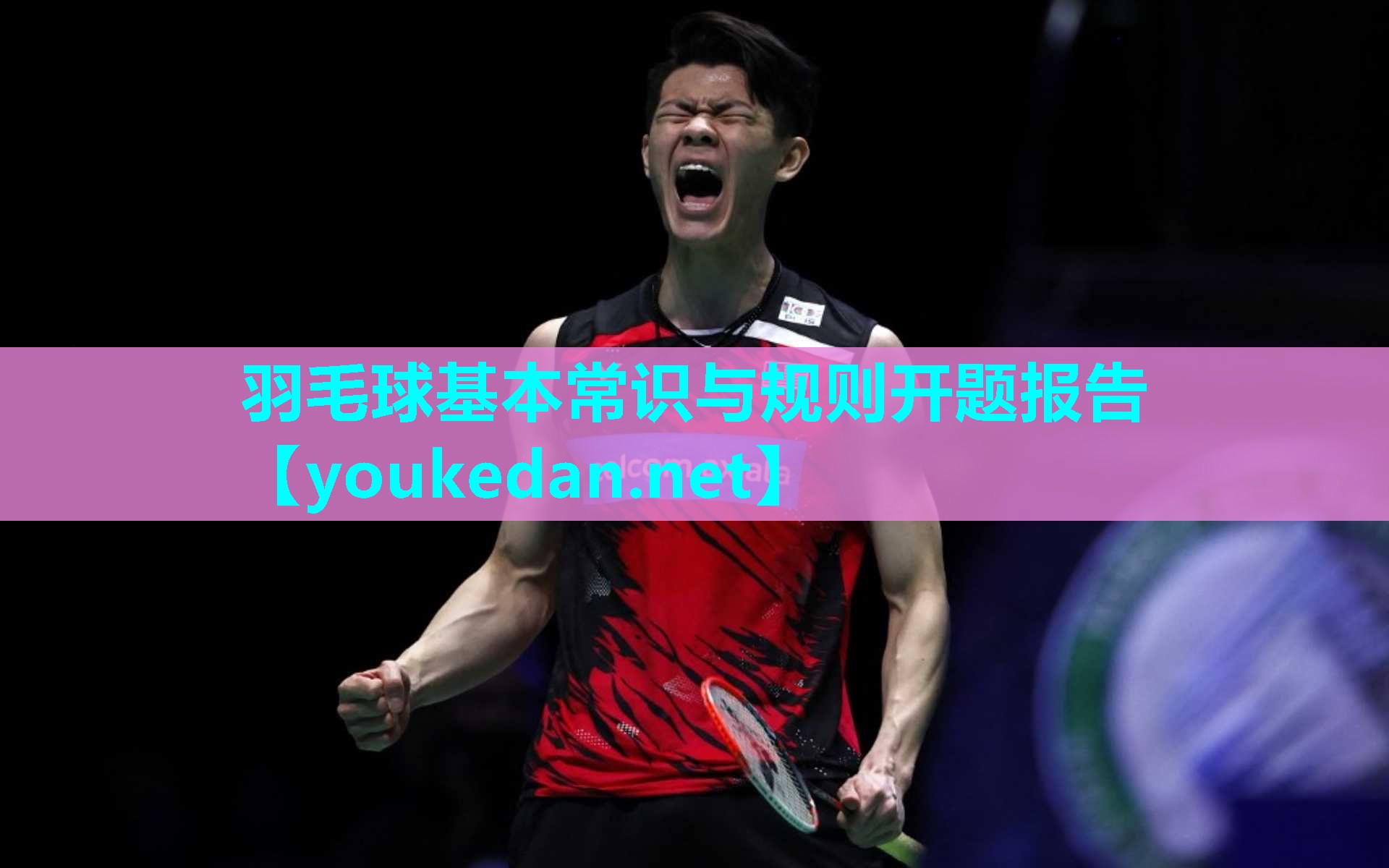 羽毛球基本常识与规则开题报告