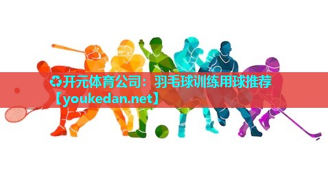 羽毛球训练用球推荐
