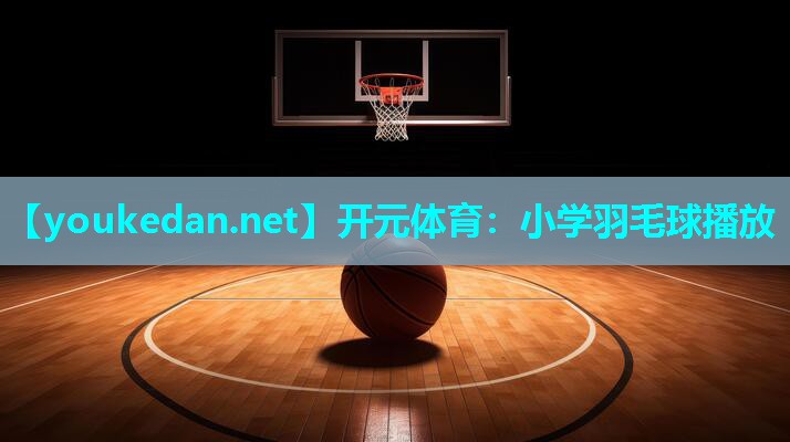 小学羽毛球播放